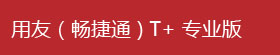 用友（畅捷通）T+专业版